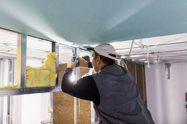 Best Specialized Insulation Services in Lisle, IL