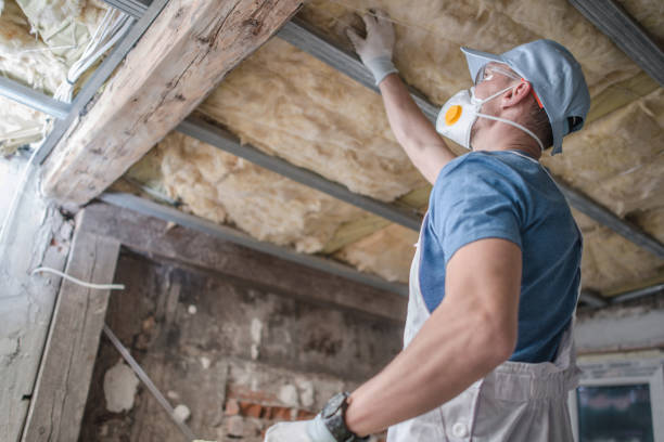Best Commercial Insulation in Lisle, IL