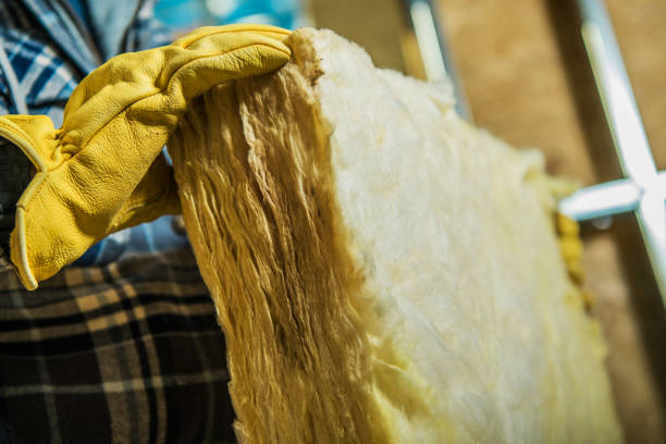 Best Eco-Friendly Insulation in Lisle, IL