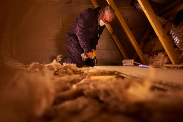 Types of Insulation We Offer in Lisle, IL